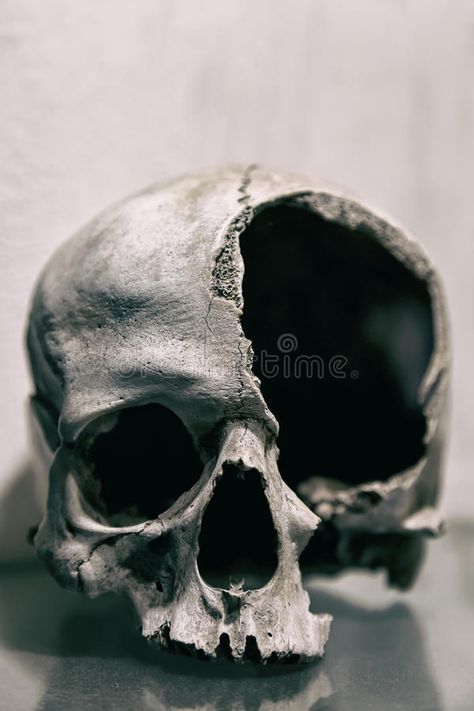 Broken human skull close up. Toned image. royalty free stock photography Medieval Background, Skull Anatomy, Skull Reference, Skull Sketch, Skulls Drawing, Skull Artwork, 다크 판타지, Skull Drawing, Human Skull