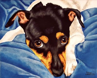 Tanya Amberson ~ Golden Eyes! Rat Terrier Art Paintings, Rat Terrier Art, Jack Chi, Jack Terrier, Rat Terrier Dogs, Rat Terrier, Rat Terriers, Dog Items, Watercolor Dog