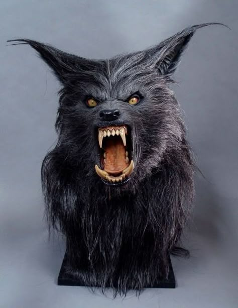 Movie prop lifesize howling werewolf wolfman wolf fx horror ... Howling Werewolf, Monster Painting, Werewolf Mask, Scary Masks, Werewolf Costume, Bark At The Moon, Mascaras Halloween, Horror Masks, Werewolf Art