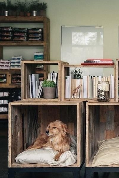 Space-saving ideas for pets beds can help maximize your small spaces and create comfortable nooks for your pets Dog Nook, Katt Grejer, Diy Pet Bed, Hospital Pictures, Murphy Bed Plans, Dog Rooms, Animal Hospital, Diy Tutorials, Diy Stuffed Animals