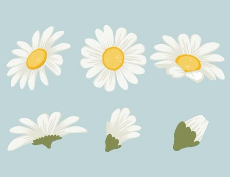 Daisy Vector Illustration, Daisy Flower Illustration Art, Cute Flowers Illustration, Flat Flower Illustration, Daisy Illustration Simple, Cute Daisy Drawing, Daisy Drawings, Daisies Drawing, Cute Flower Illustration