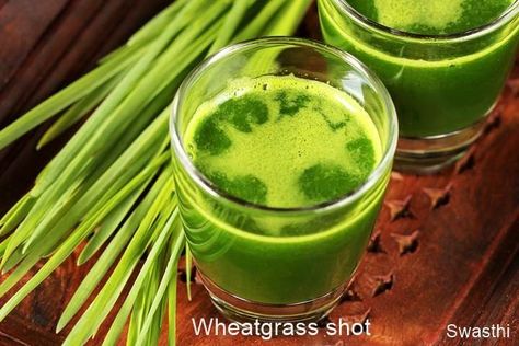 Wheatgrass shot recipe | How to make wheatgrass Juice shots at home Wheatgrass Shot Recipe, Wheat Grass Juice, Wheatgrass Benefits, Healthy Shots, Wheatgrass Smoothie, Wheatgrass Juice, Ginger Shot Recipe, Wheat Grass Shots, Juice Shots