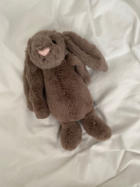 Jellycat Bunny, Jelly Cat, Jellycat Stuffed Animals, Brown Bunny, Brown Fur, Pretty Animals, 背景 シンプル, Birthday Wishlist, Cute Stuffed Animals