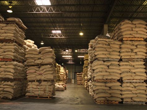 Coffee Warehouse, Coffee Factory, Easy Routine, Warehouse Interior, Factory Interior, Coffee Roastery, Scary Facts, Warehouse Design, Coffee World