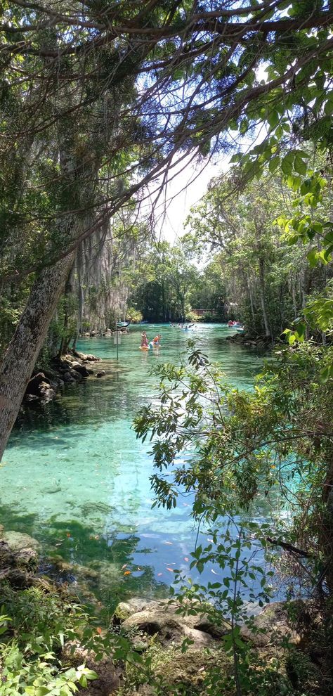 Florida River House, Beachy Widgets, Southern Getaways, Rainbow River Florida, River Water Aesthetic, River Aethstetic, Clear Water Florida, Indian River Florida, Author Aesthetic