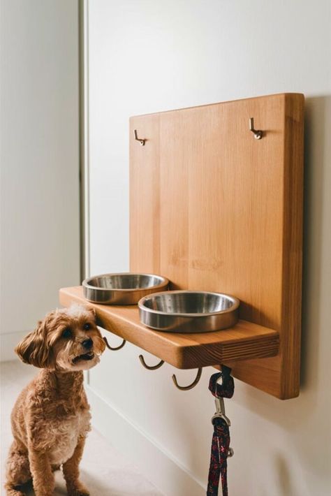 Top 20 Dog Feeding Station DIY [Within Budget] Dog Feeding Station Diy, Diy Dog Feeder, Dog Bowl Stand Diy, Dog Feeding Station, Dog Bowl Stand, Bowl Stand, Hamster Cage, Feeding Station, Dog Feeder