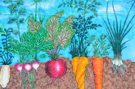 Mural Of Garden Vegetables Free Stock Photo - Public Domain Pictures Vegetable Painting, Tattoo Plant, Garden Mural, Vegetable Garden Tips, Organic Vegetable Garden, Hur Man Målar, Sustainable Garden, Organic Gardening Tips, Garden Painting