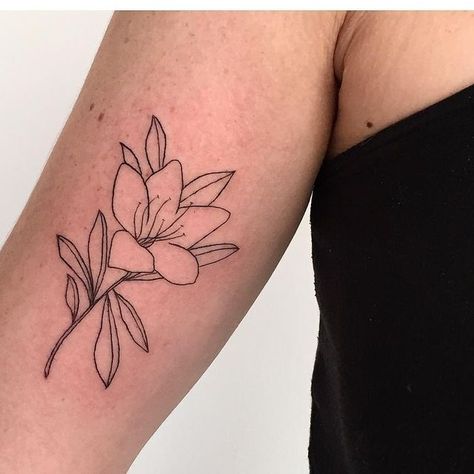 Azalea Flower Tattoo Simple, Fine Line Azalea Tattoo, Azalea Tattoo, Azalea Line Drawing, Black Delilah Flower Tattoo, Azalea Illustration, Bestie Tats, Azalea Flower, Pink Azaleas