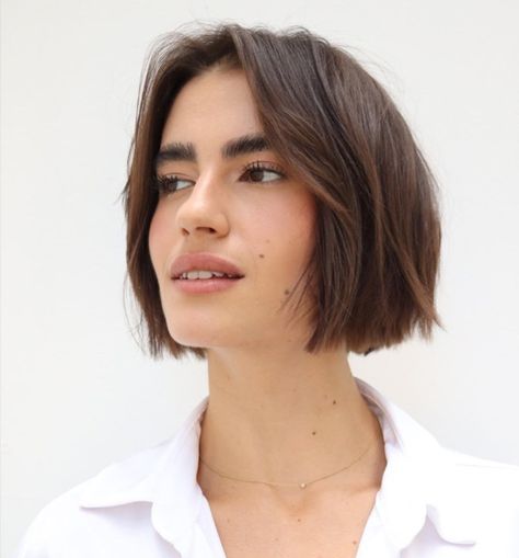 Neat Chin-Length Brunette Bob Hairstyle Chin Length Bob Middle Part, Chin Bob, Shaggy Layered Bobs, Razored Bob, Feathered Bob, Bob Haircut Ideas, Trendy Bob Hairstyles, Brunette Bob, Best Bob Haircuts