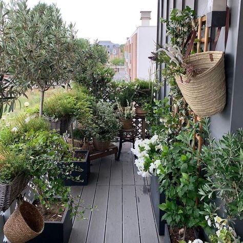 Urban Gardening Balkon, Gardening Boxes, Balcony Garden Diy, Boxes Ideas, Small Balcony Garden, Balcony Plants, Porch And Balcony, Container Gardens, Rooftop Garden