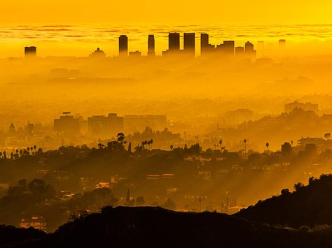 Urban Heat Islands Can Be Deadly, and They're Only Getting Hotter | WIRED Urban Heat Island, Sunset Images, Photo Puzzle, Image Frame, Photographic Paper, Large Picture, Gifts In A Mug, 10 Inch, Photographic Prints