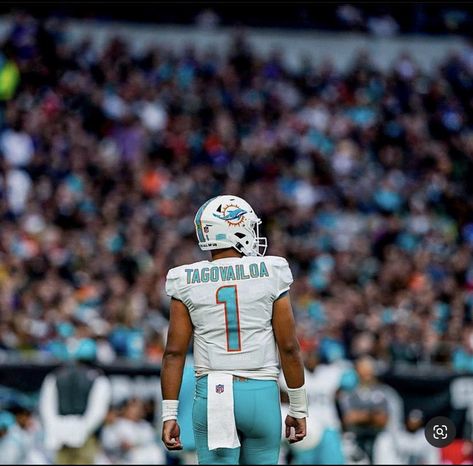 Tua Tagovailoa Dolphins, Tua Tagovailoa Miami Dolphins Wallpaper, Miami Dolphins Aesthetic, Tua Tagovailoa Wallpaper, Dolphins Wallpaper, Miami Dolphins Wallpaper, Cool Football Pictures, Jaylen Waddle, 21st Birthday Sign