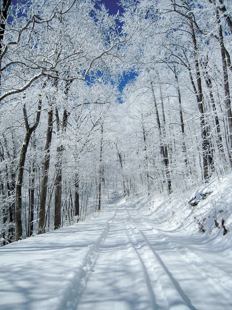 4. <a href="http://www.onlyinyourstate.com/georgia/easy-winter-hike-in-ga/" target="_blank">The Easy 2-Mile Winter Hike In Georgia That’s Positively Bewitching</a> Snow In Georgia, Desoto Falls, Magical Scenery, Hiking Usa, Hiking In Georgia, Georgia Trip, Most Beautiful Scenery, Chattahoochee National Forest, Bleak Midwinter