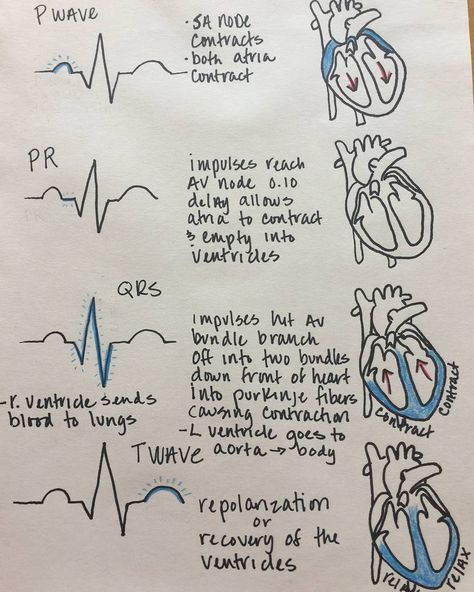 Medical Assistant School, Cardiac Cycle, Studie Hacks, Medical Assistant Student, Nursing School Motivation, Nurse Study Notes, Nursing Mnemonics, Nursing Student Tips, Medical Student Study