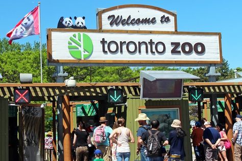 Toronto Zoo People Standing In Line, Zoo Entrance, Zoo Pictures, Eaton Centre, Toronto Zoo, Hockey Hall Of Fame, Secret Passageways, Toronto Island, Royal Ontario Museum