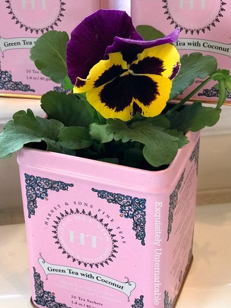 Recycled Flower Pots from old tea tins. Turn your old tins into charming home decor planters. Recycled Flower Pots, Diy Planters Indoor, Tin Planters, Planter Project, Making Plant Pots, Flower Pot Design, Patio Pots, Recycled Tin, Diy Flower Pots