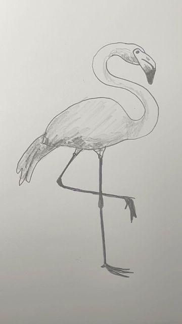 Draw A Flamingo, Flamingo Drawing, Drawing Lesson, Doodle Fonts, Easy Drawing, Drawing Lessons, Art Tutorials, Drawing Ideas, Easy Drawings