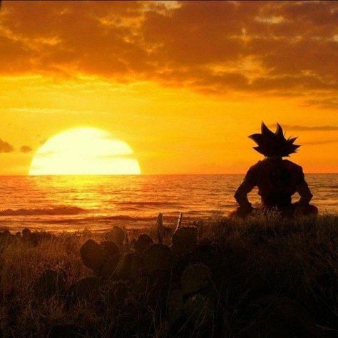 Goku Sunset, Ribbon In The Sky, Naruto Jiraiya, Goku Pics, Dragon Ball Z Iphone Wallpaper, Goku Wallpaper, Western Wallpaper Iphone, Dragon Ball Art Goku, Dragon Ball Super Artwork