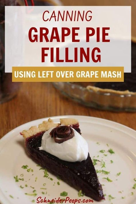 Wondering what to do with the leftover grape mash from making grape jelly or grape juice? Make grape pie filling! Use any grapes - concord, muscadine, mustang, or cultivated grapes to make canned grape pie filling. #PreservingFood #Canning #Homesteading #SimpleLiving Grape Juice Pie Recipe, What To Do With Muscadine Grapes, Grape Pie Filling, Making Grape Jelly, Muscadine Recipes, Grape Pie Recipe, Muscadine Grapes, Grape Pie, Pie Crust Top