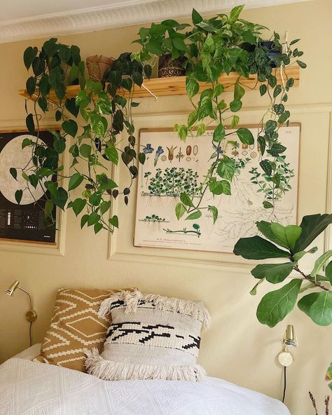 Book Shelves In Bedroom, Bedroom Plants Decor, Green Apartment, Home Decor Aesthetic, Home Design Inspiration, Aesthetic Home Decor, Bedroom Wall Colors, Bedroom Plants, Home Aesthetic