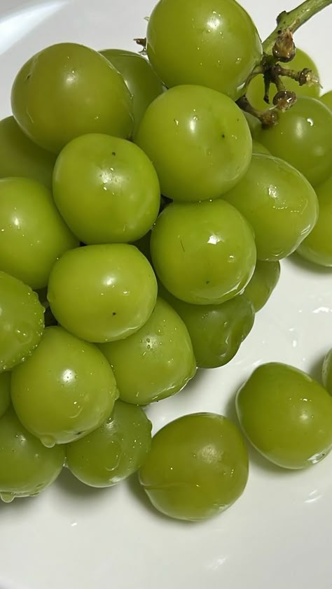 Muscat Grapes, Vegetables Pictures, Fruits And Vegetables Pictures, Color Mood Board, Fridge Pantry, Vegetable Pictures, Frozen Grapes, Healthy Lunch Snacks, Hamster Toys