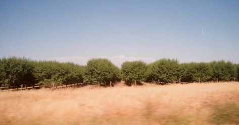 253. I-5 Highway Panoramas The agricultural lands covering California’s Central Valley stretch for hundreds of miles. Yet over the years, I’ve gradually become acquainted with the various landmarks spread throughout the region. On a recent drive back from LA, I had the chance to play passenger princess which allowed me to snap some shots including these two ‘panorama’ shots on Kodak Proimage. #diptych #panorama #frameswithgeoff Central Valley California, Childhood Aesthetic, Passenger Princess, Agricultural Land, Central Valley, Over The Years, To Play, Passenger, Drive