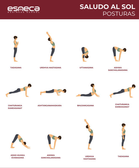 Posturas del Saludo al Sol, rutina de yoga para principiantes Vinyasa Yoga, Yoga Asanas, Personal Trainer, Yoga Fitness, Yoga Poses, Gym, Yoga