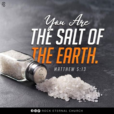 Rock Eternal Church on Instagram: “Salt both preserves and protects. We are to bring out the flavor of God in the world. You are the salt of the earth. This means you are…” Salt Of The Earth, Bible Stuff, Of The Earth, Word Of God, The Earth, Cool Words, Salt, Bible, Bring It On