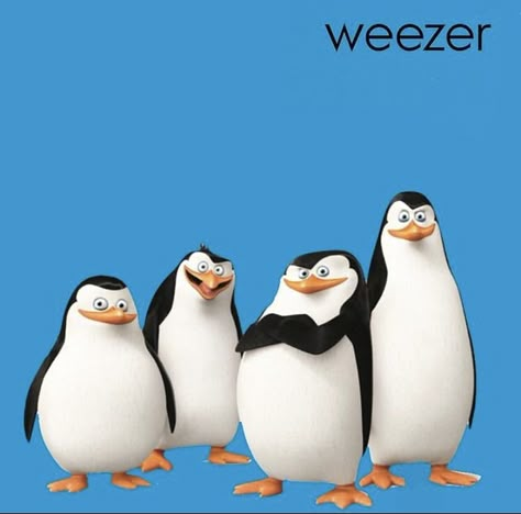 Weezer Memes Funny, Weezer Blue, Rivers Cuomo, Buddy Holly, Pinterest Memes, Zoo Wee Mama, Weezer, I Dont Have Friends, Music Memes