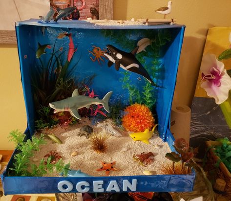 Kindergarten habitat project Ocean Diorama, Ocean Art Projects, Biomes Project, Diorama Kids, Ecosystems Projects, Habitats Projects, Ocean Habitat, Ocean Projects, Ocean Ecosystem