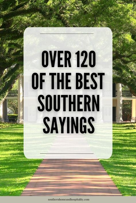 These common Southern sayings, expressions, and slang will have you grinning like a possum eating a sweet potato with all the charm and wit the South is known for! Texas Slang Southern Sayings, Southern Sassy Quotes Funny, Sassy Country Quotes, Southern Phrases Funny, Southern Words And Phrases, Old Southern Sayings, Southern Quotes And Sayings Funny, Southern Love Quotes, Retro Words Aesthetic