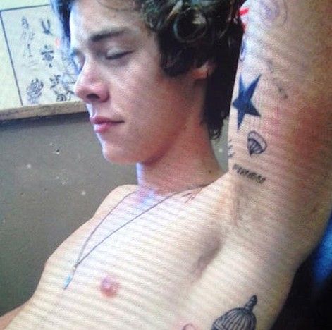 02.01.13:Ed Sheeran: 'Harry Styles and I got matching penguin tattoos' Tatuajes Harry Styles, One Direction Tattoos, Harry Styles Shirtless, Harry Tattoos, Harry Styles 2015, Harry Styles 2013, Courtney Stodden, La Tattoo, Harry Styles Tattoos