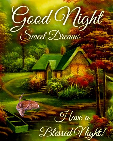 Have A Blessed Good Night quotes night good night good night quotes sweet dreams morning nights days good night sayings good night picture quotes blessed good night images good night and sweet dreams quotes Happy Sunday Pictures, Sweet Dreams Pictures, Good Night Sister, Have A Blessed Night, Good Night To You, Good Night World, Good Night Prayer Quotes, Blessed Night, Beautiful Good Night Quotes