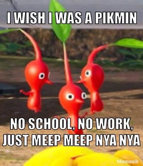 i wish i was a pikmin, no school, no work, just meep meep nya nya Pikmin Funny, Pikmin Wallpaper, White Pikmin, Rock Pikmin, Pikmin Art, Pikmin Bloom, Pikmin 4, No School, Midlife Crisis