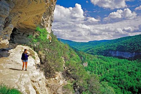 7 favorite day hike trails in Arkansas  http://www.arkansasoutside.com/7-favorite-day-hiking-trails-in-arkansas/ Mountain View Arkansas, Arkansas Waterfalls, Hiking Views, Amtrak Travel, Arkansas Road Trip, Arkansas Vacations, Horseback Riding Trails, Arkansas Travel, Day Hiking