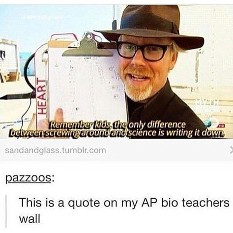 Myth Busters, Actor Quotes, Senior Quotes, Can't Stop Laughing, Tumblr Funny, Tumblr Posts, Funny Posts, Dankest Memes, Make Me Smile