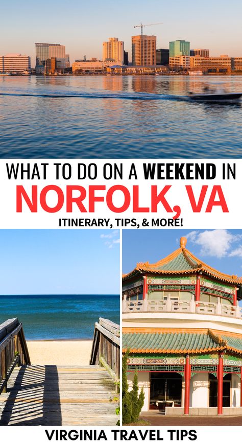 Experience a delightful weekend in Norfolk, VA! 🌊 Discover maritime history at the Nauticus Museum, stroll through the beautiful Norfolk Botanical Garden, and enjoy the vibrant waterfront at Waterside District. Immerse yourself in Norfolk’s unique charm and history! 🌺⚓ #WeekendInNorfolk #NauticusMuseum #NorfolkBotanicalGarden #VisitNorfolk Norfolk Botanical Garden, 2025 Family, America City, Usa City, Virginia Travel, Norfolk Virginia, Usa Cities, River Trail, Norfolk Va