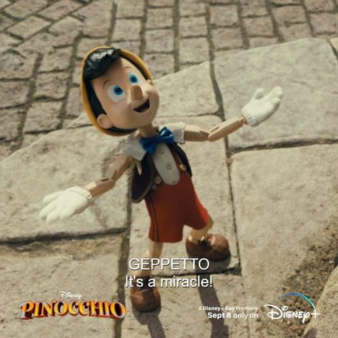 Pinocchio 2022, Pinocchio Disney, Walt Disney Princesses, Romantic Date Night Ideas, Car Life, Disney Gif, Video Edits, Forest Girl, Disney Day