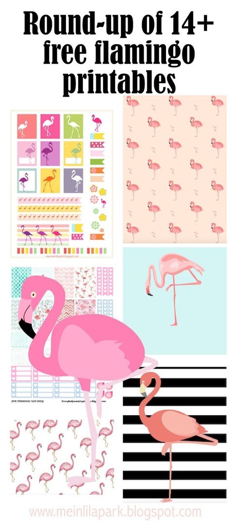 FREE printable flamingo printables - round-up Free Flamingo Printables, Flamingo Printables, Printable Flamingo, Flamingo Craft, Let's Flamingle, Flamingo Theme, Free Printable Planner Stickers, Fiesta Tropical, Diy Bebe