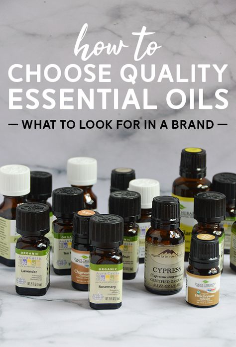 EOs 101: What to Know When Choosing an Essential Oil Brand | Pumps & Iron Sleep Essential Oils, Essential Oils For Hair Growth, Oils For Hair Growth, Essential Oil Brands, Plant Parts, Essential Oil Safety, Essential Oils 101, Essential Oils Young Living, Mountain Rose Herbs