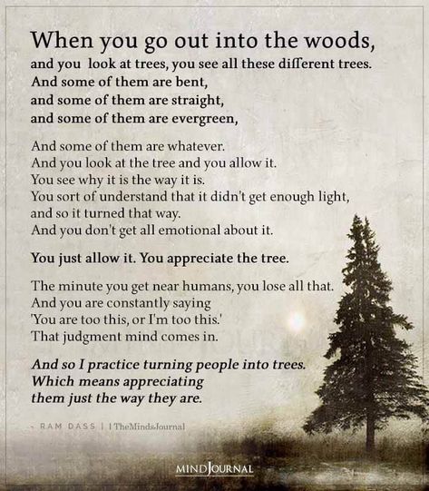 When You Go Out Into The Woods And You Look At Trees Living In The Woods Quotes, In To The Woods Quotes, Talk To Trees, Ram Dass Quotes, Different Trees, Tree Poem, Aa Quotes, Into The Woods Quotes, Tree Quotes