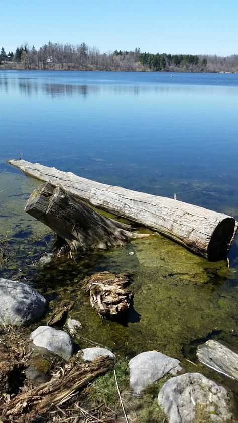 Heart Lake, Brampton, Ontario Brampton Ontario, Shahrukh Khan, Amazing Places, Ontario, The Good Place, Lake, Water, Quick Saves