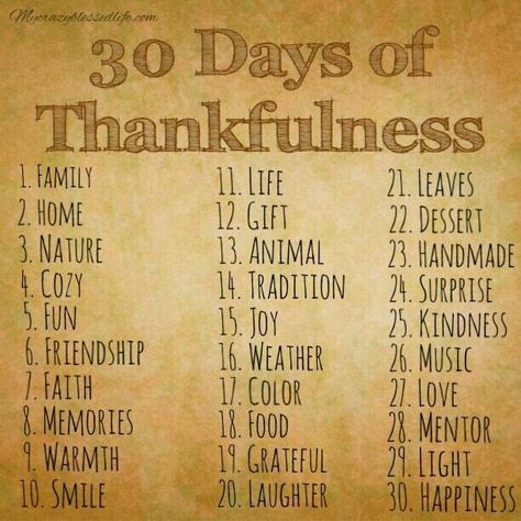 30 days of Thankfulness Thankful Ideas, 30 Days Of Thankfulness, Gratitude Attitude, Gratitude Jar, Social Media Challenges, Monthly Activities, Journal Gratitude, Scripture Writing, Gratitude Challenge