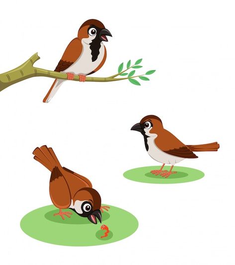 Vector sparrow birds collection | Premium Vector #Freepik #vector #cartoon #cartoon-illustration #sparrow #bird-cartoon Sparrow Illustration, Rock Clipart, Powerpoint Background Templates, Zoo Project, Bird Cute, Cartoon Bird, Sparrow Bird, Brown Bird, Powerpoint Background