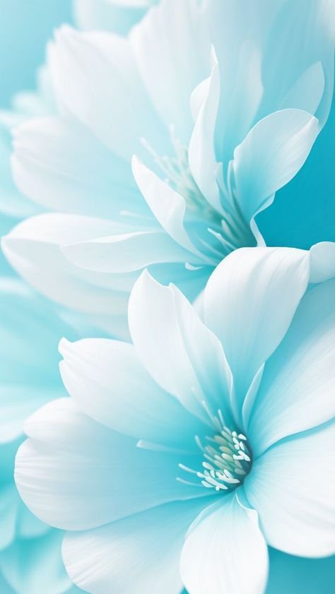 Cool Background Designs, Aqua Blue Background, Aesthetic Wallpapers Iphone, Hd Flower Wallpaper, Android Wallpaper Art, Iphone Wallpaper Stills, Aqua Wallpaper, Iphone Wallpaper Hipster, Crazy Wallpaper