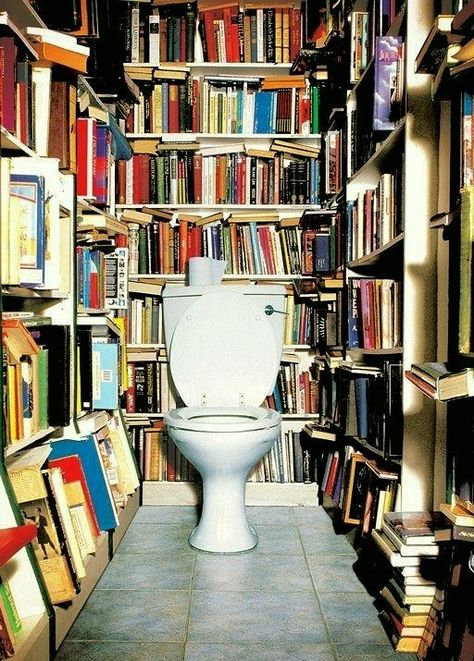 library-bathroom, robert couturier's pinterest via Laurel Home Reading Spaces, Cozy Library, Dream Library, Downstairs Loo, Home Libraries, Reading Nooks, Book Storage, Book Shelves, Reading Room