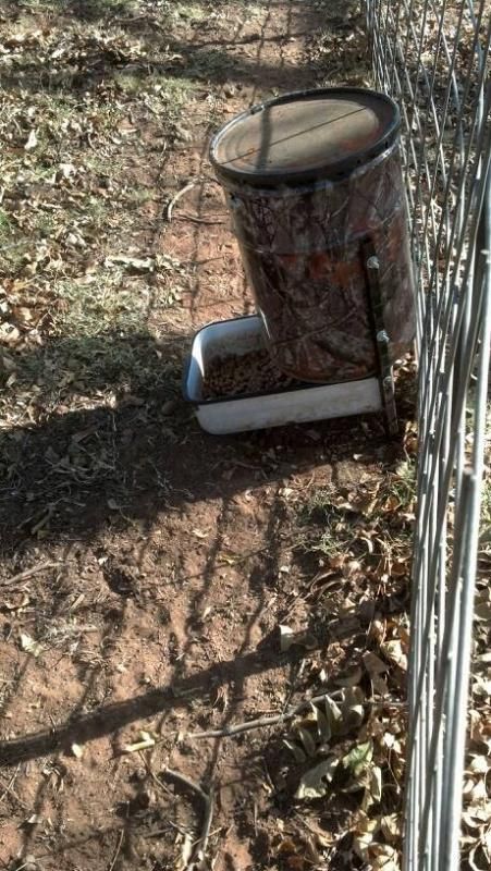 DIY Self Dog Gravity Feed (lab proof hopefully) - TexasBowhunter.com Community Discussion Forums Dog Feeder Automatic Diy, Diy Auto Dog Feeder, Diy Dog Self Feeder, Diy Self Feeders For Dogs, Diy Gravity Dog Feeder, Diy Dog Feeder Outdoor, Diy Automatic Dog Feeder, Gravity Feeder Diy, Dog Feeder Diy