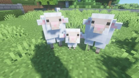 BetterSheep Resource Pack (Requires OptiFine) Minecraft Texture Pack Sheep Banner Minecraft, Minecraft Builds No Texture Packs, Cute Minecraft Texture Packs Bedrock, Cute Minecraft Seeds, Cute Texture Packs Minecraft, Minecraft Cute Resource Packs, Minecraft Villager Texture Pack, Minecraft Texture Pack Aesthetic, Cute Minecraft Mods