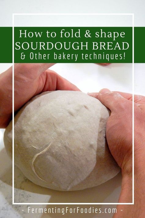 Want to make awe-inspiring sourdough bread? Here are the techniques that bakeries use to create artisan loaves. Learn how to fold, shape and bake amazing bread. How To Fold Sourdough Bread, How To Use A Bread Lame, Folding Sourdough Bread, Sourdough Bread Shaping, Shaping Bread Dough, How To Cut Sourdough Bread, How To Shape Sourdough Bread, Bread Shaping Techniques, Shaping Sourdough Bread