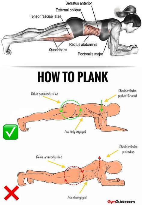 How To Plank Correctly, Plank Benefits, How To Plank, Core Conditioning, Plank Exercise, Plank Variations, Core Strengthening, Gym Antrenmanları, Plank Challenge